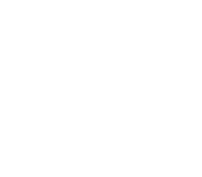 logo de website